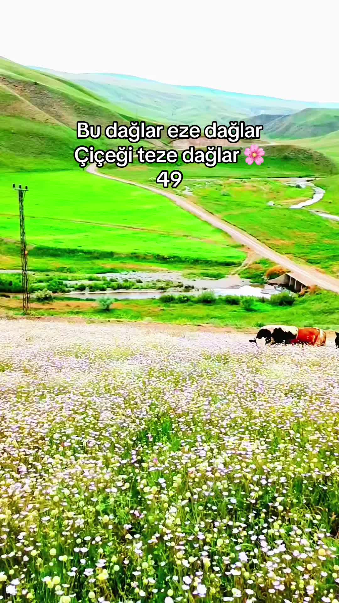 @savaş