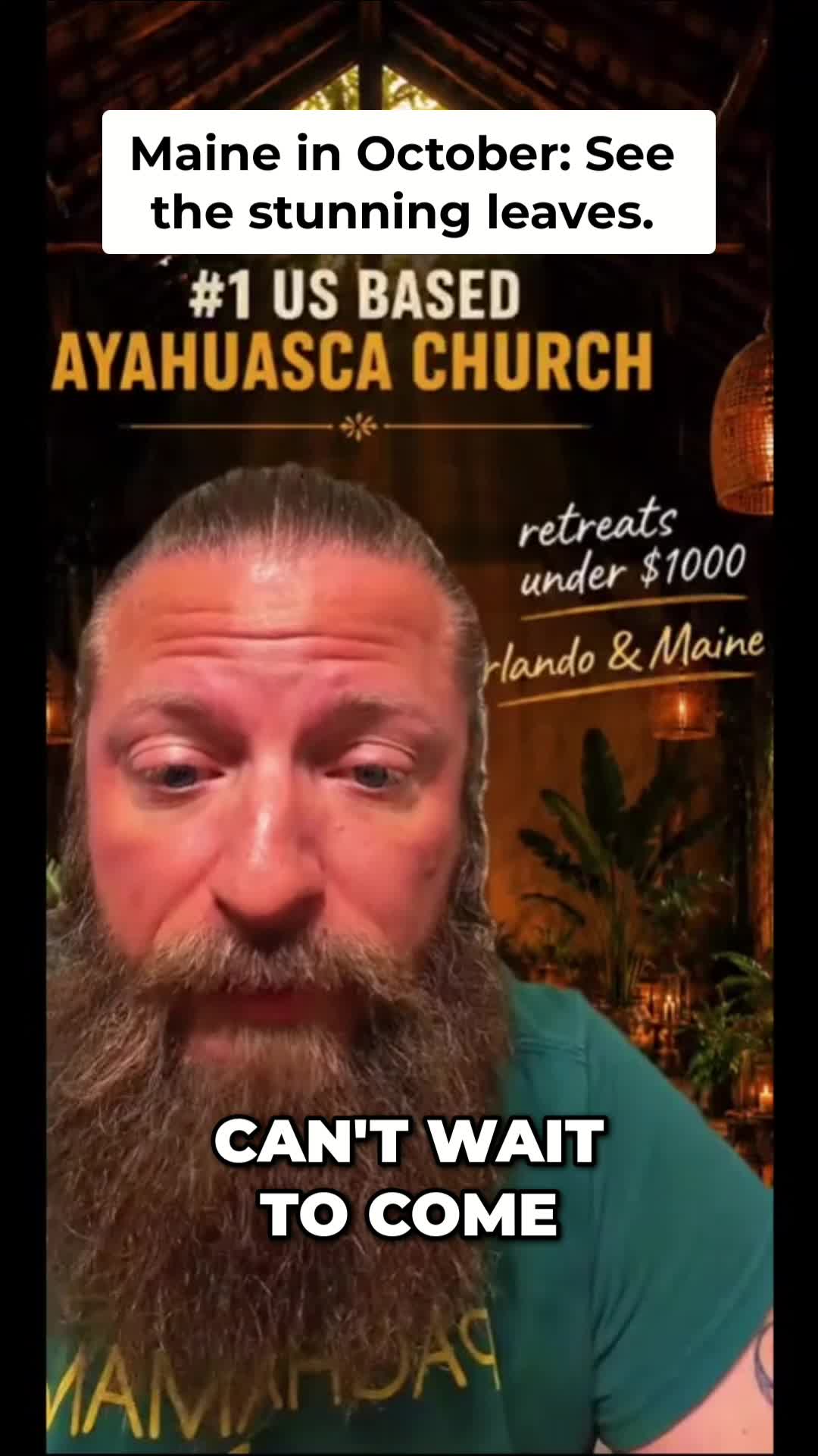 @Pachamama Ayahuasca Sanctuary