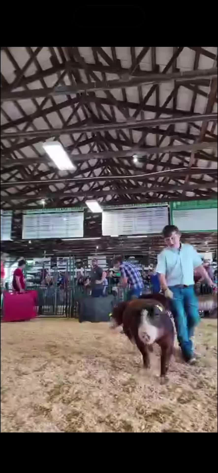 @Knox County Fair | Indiana