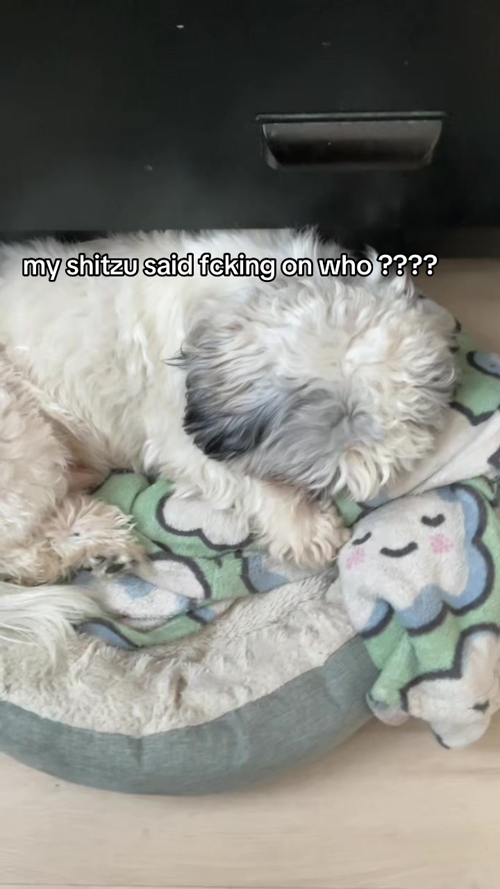 @ShawnteAmourr