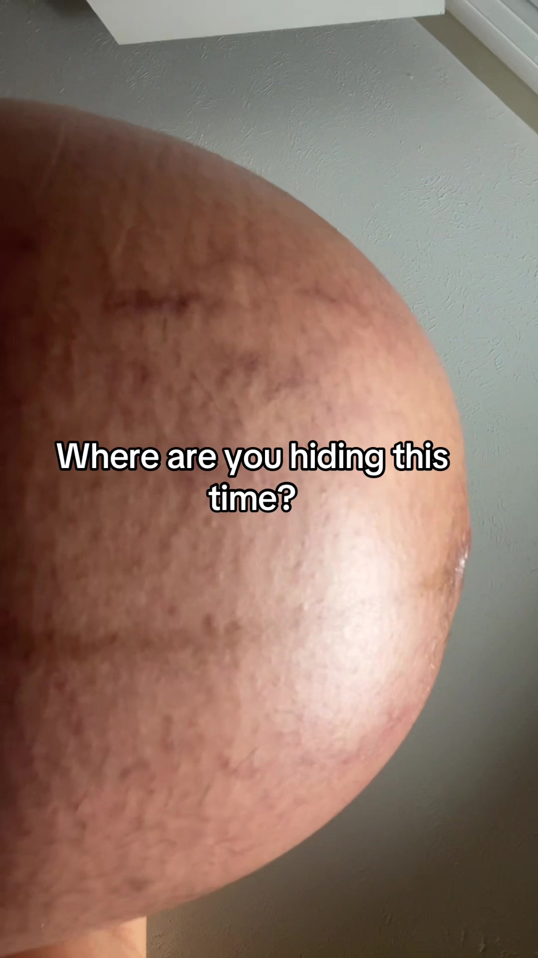 @littlepreglatina0