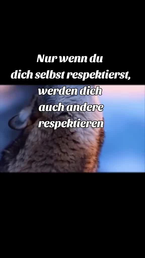 @Manfred