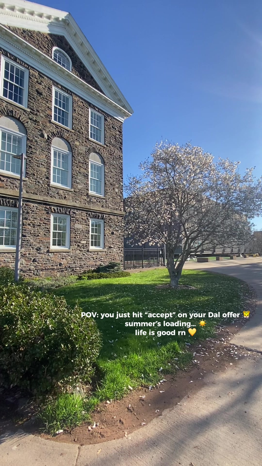 @Dalhousie University