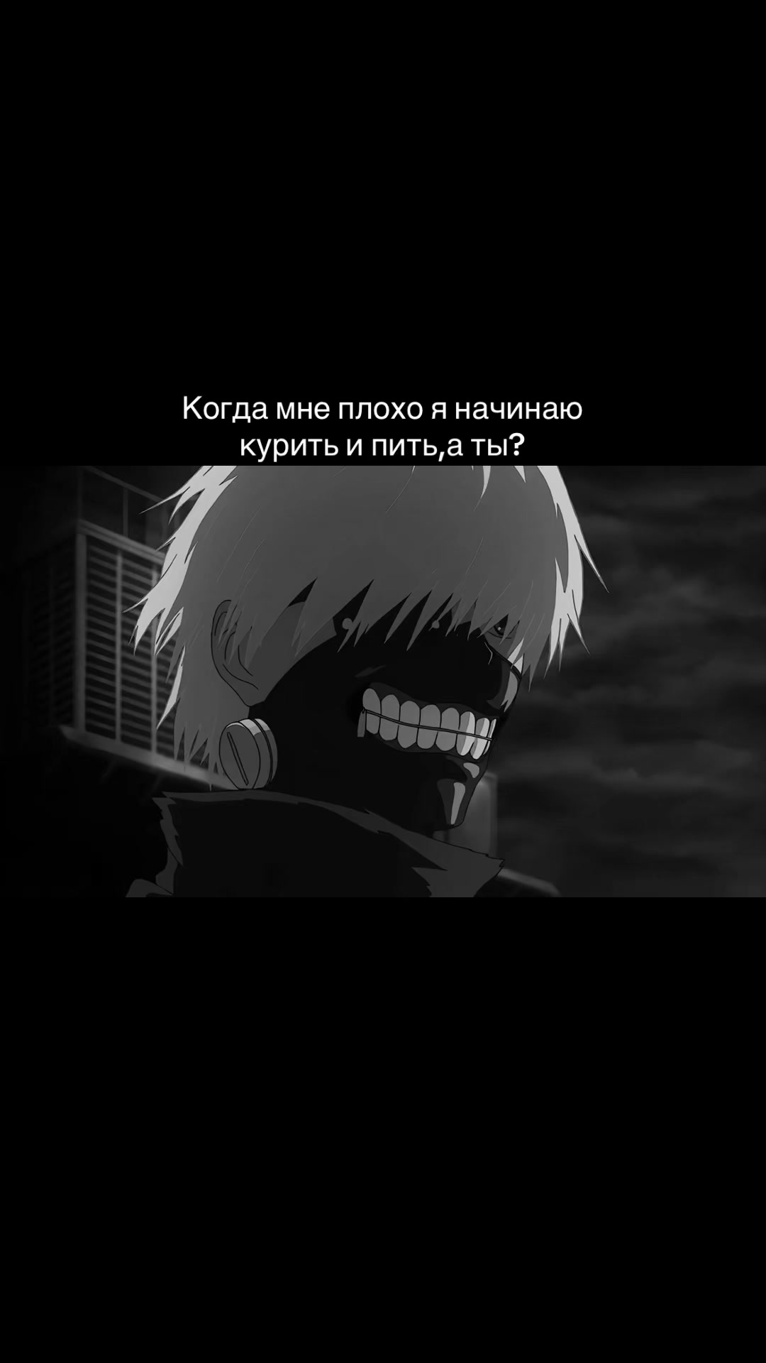 @шейня 💭