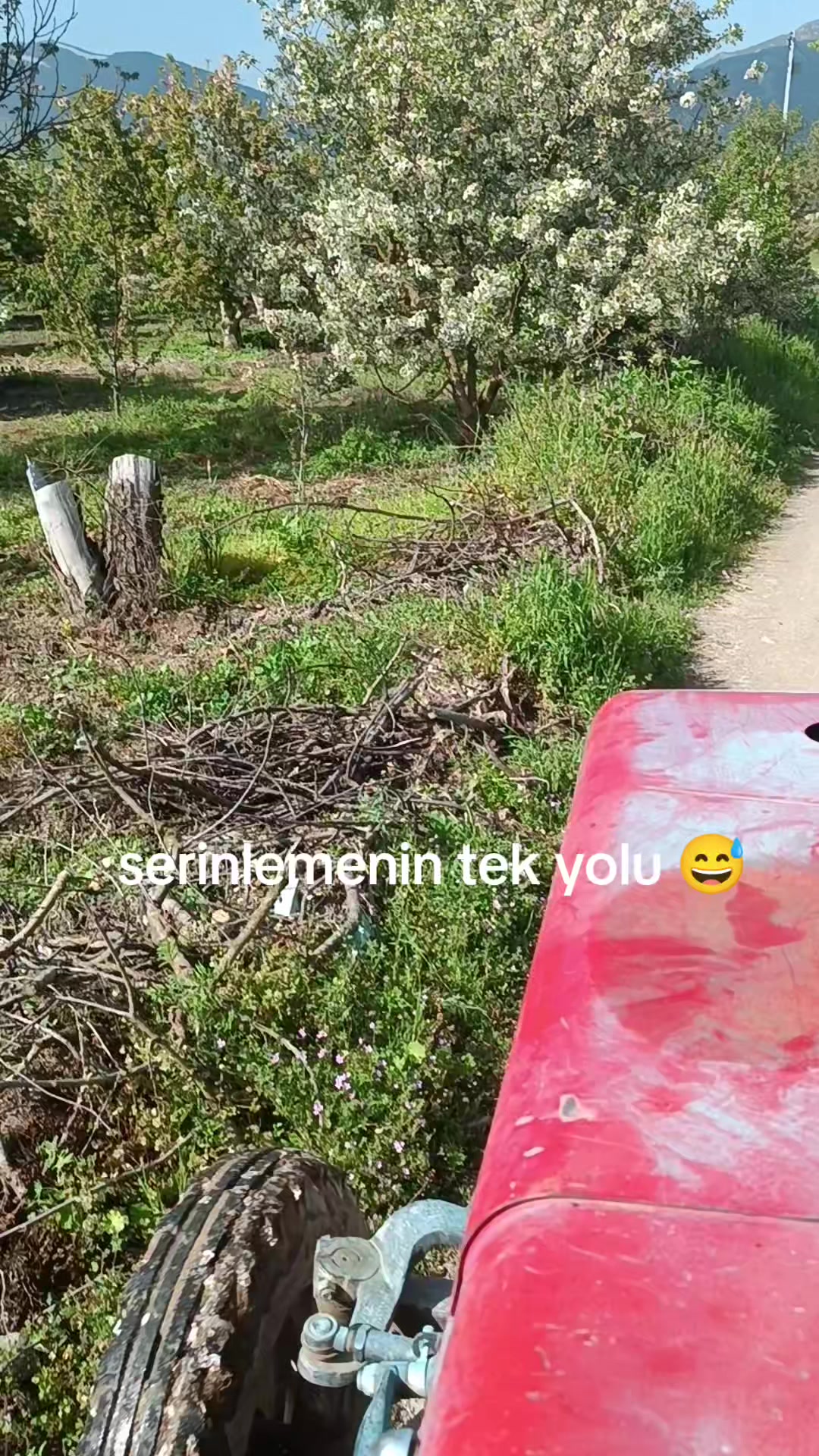 @Halil