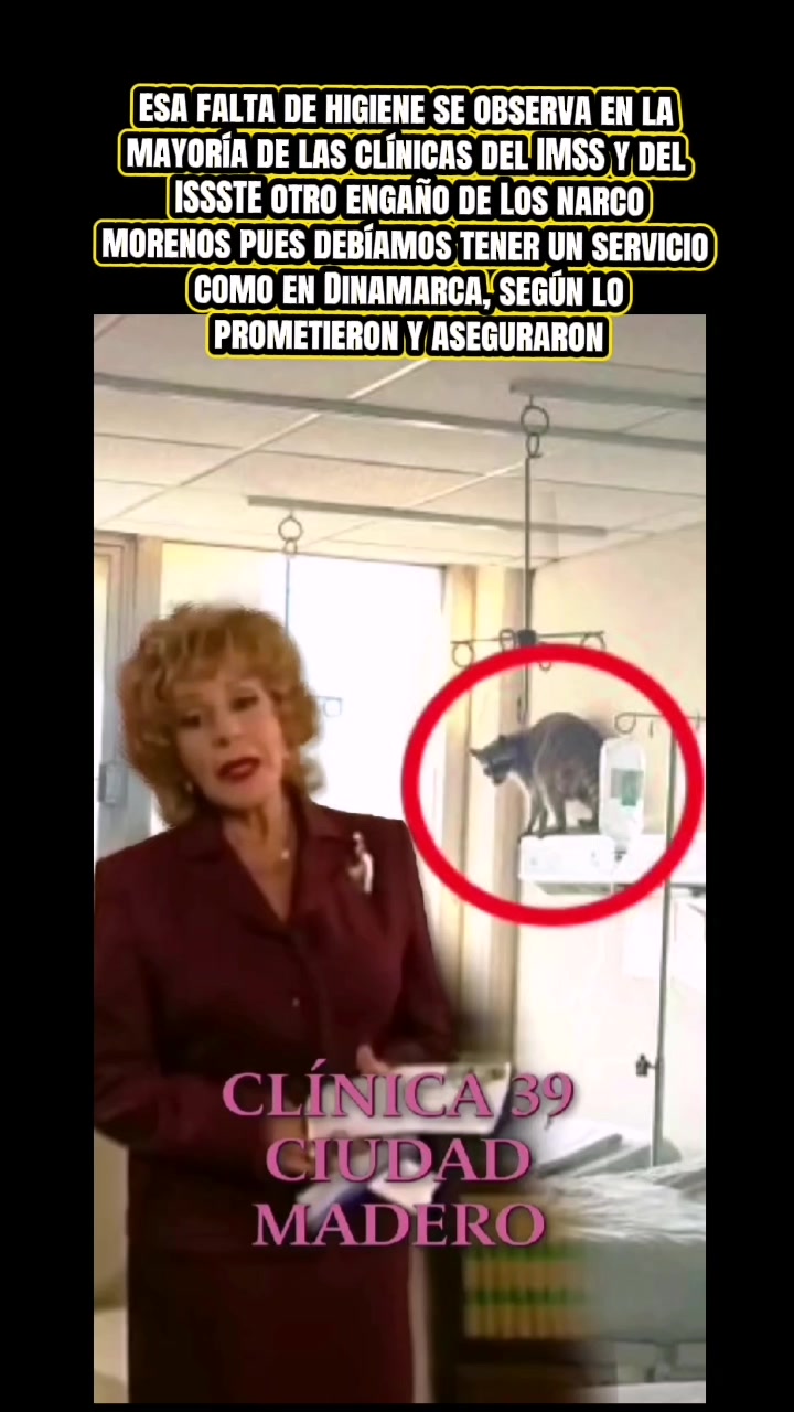 @pachincleta7