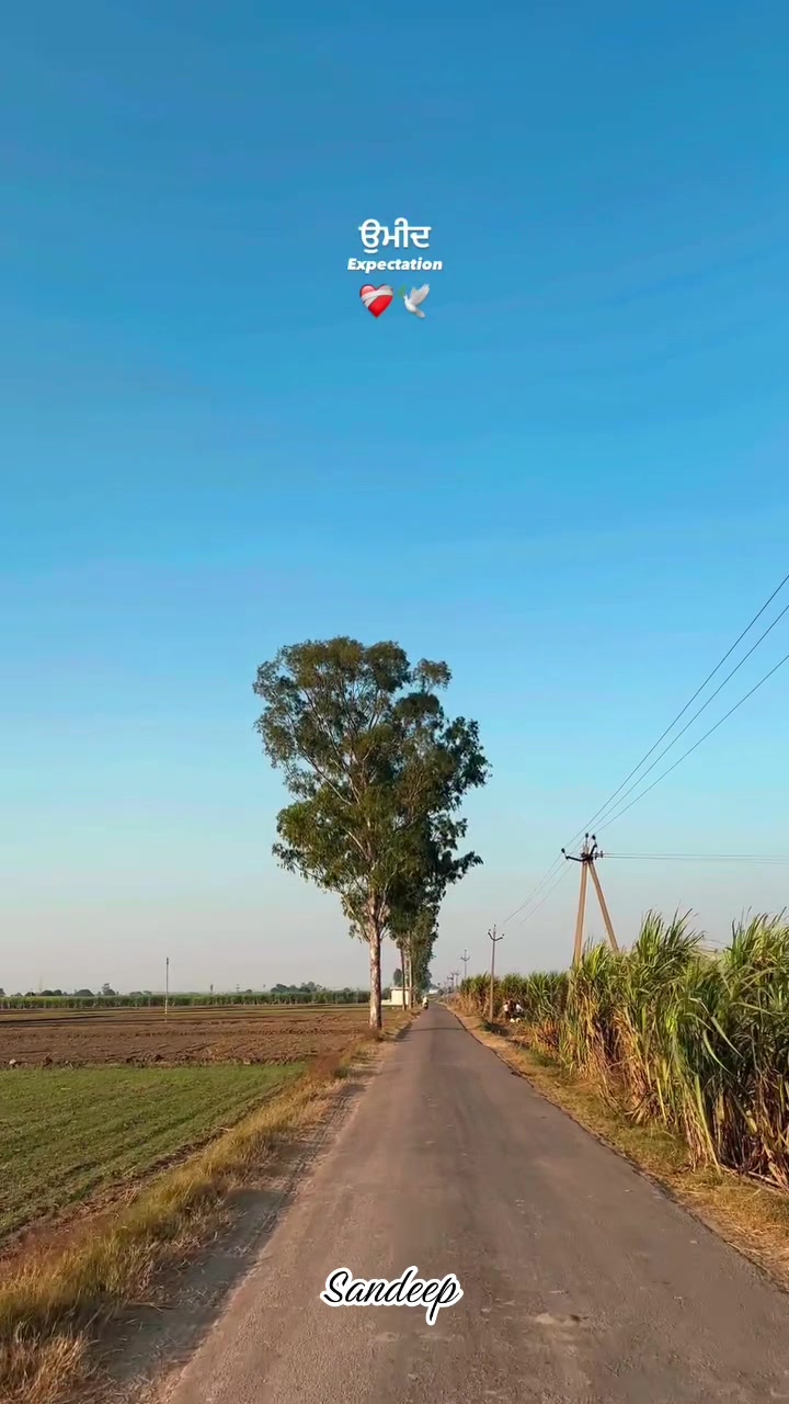 @Sdeep_2022