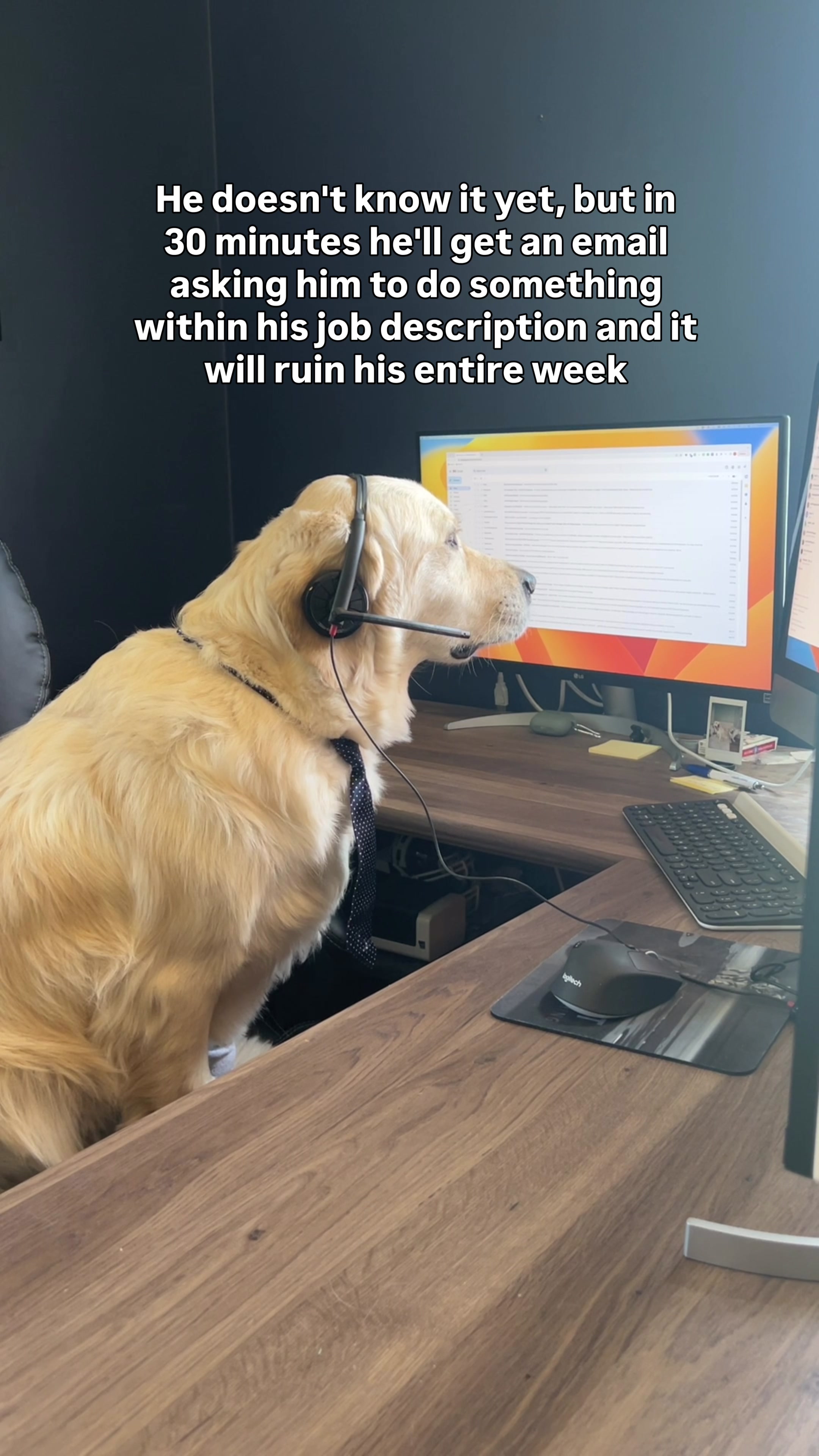 @Rigatoni The Golden