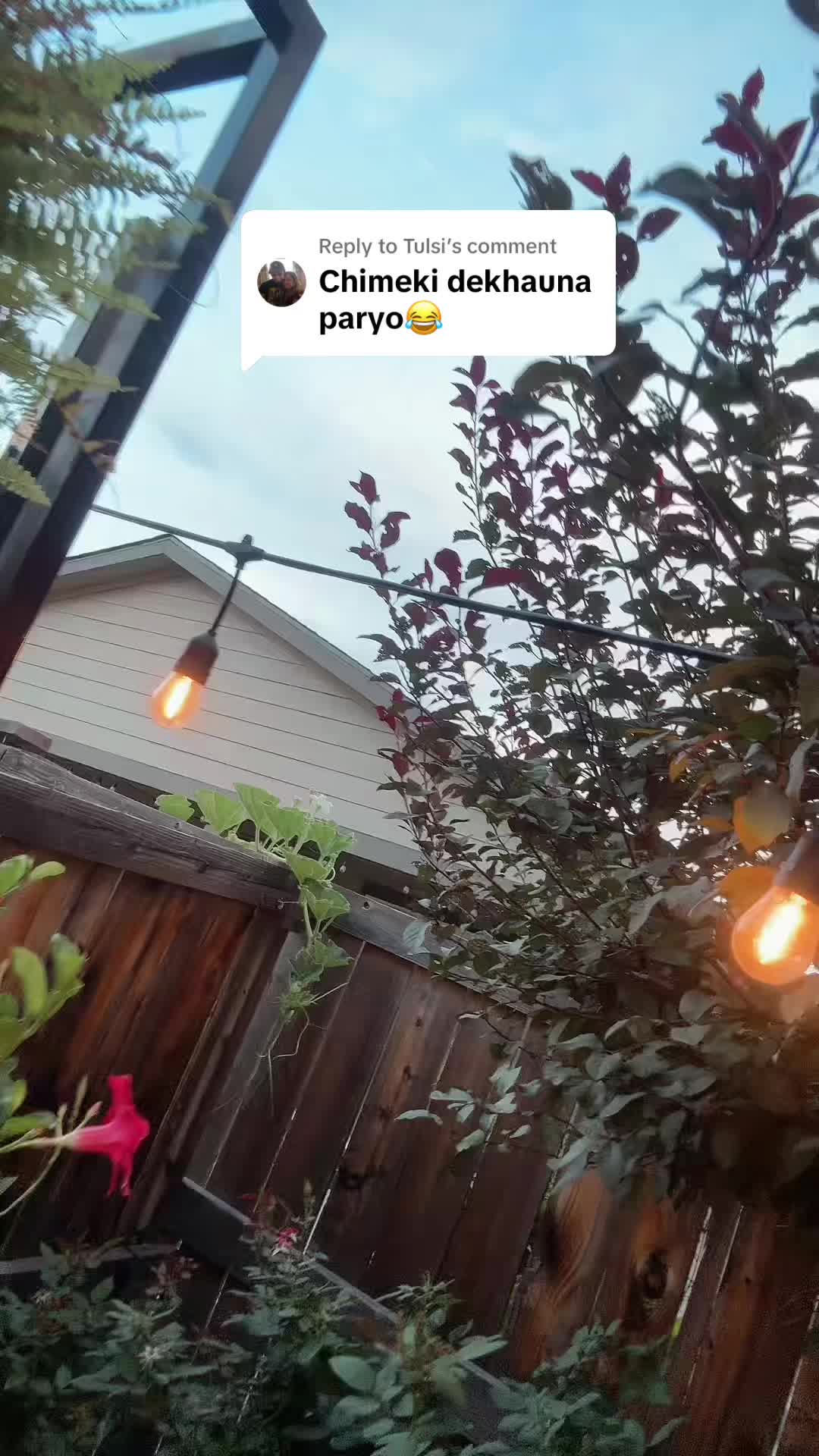 @ramaili_shagun