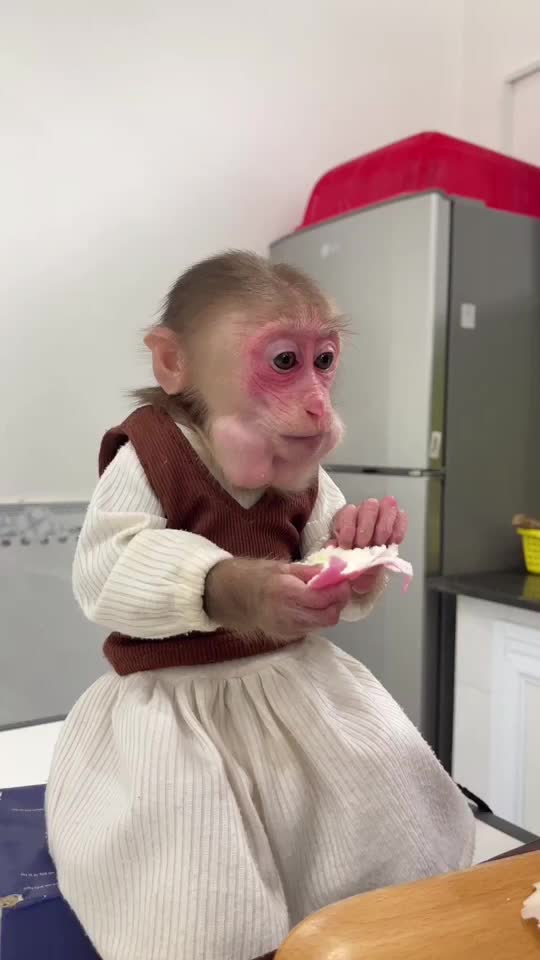 @Lilymonkey
