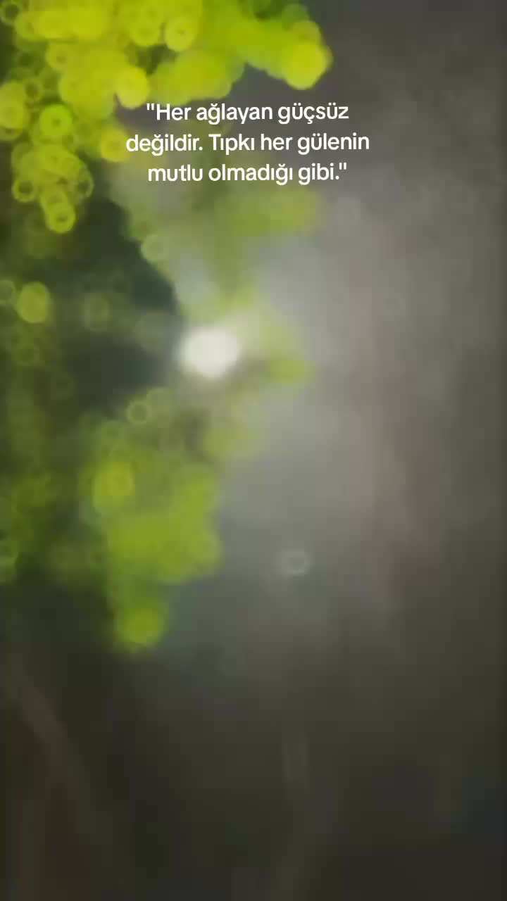 @Su_ayd1225