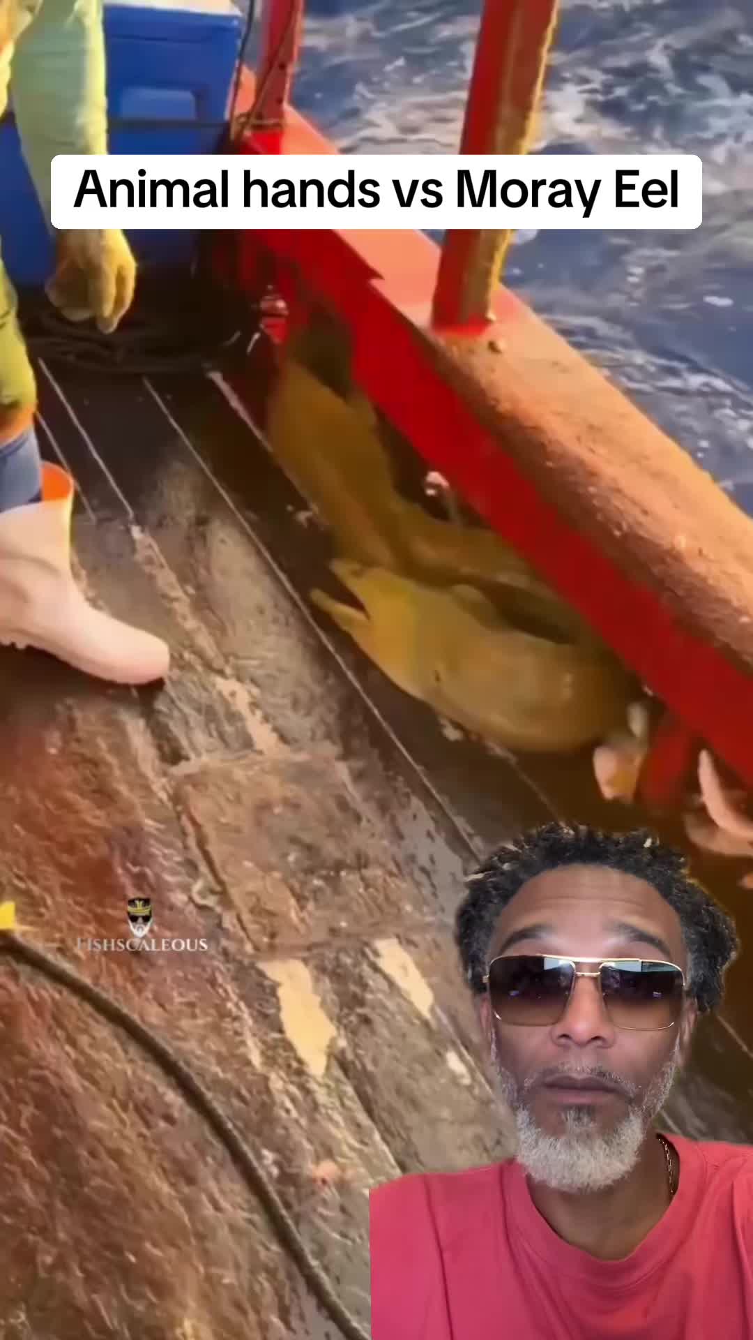@Fishscaleous