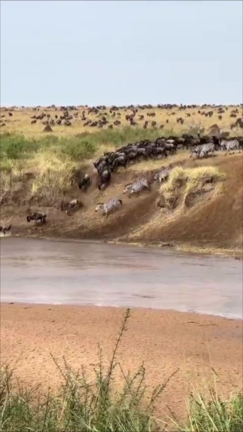 @Grand Summits and Safaris