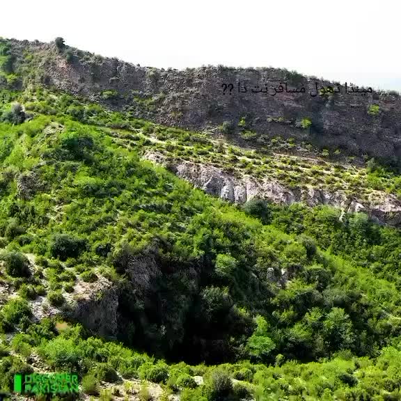 @سون ویلی 🌹