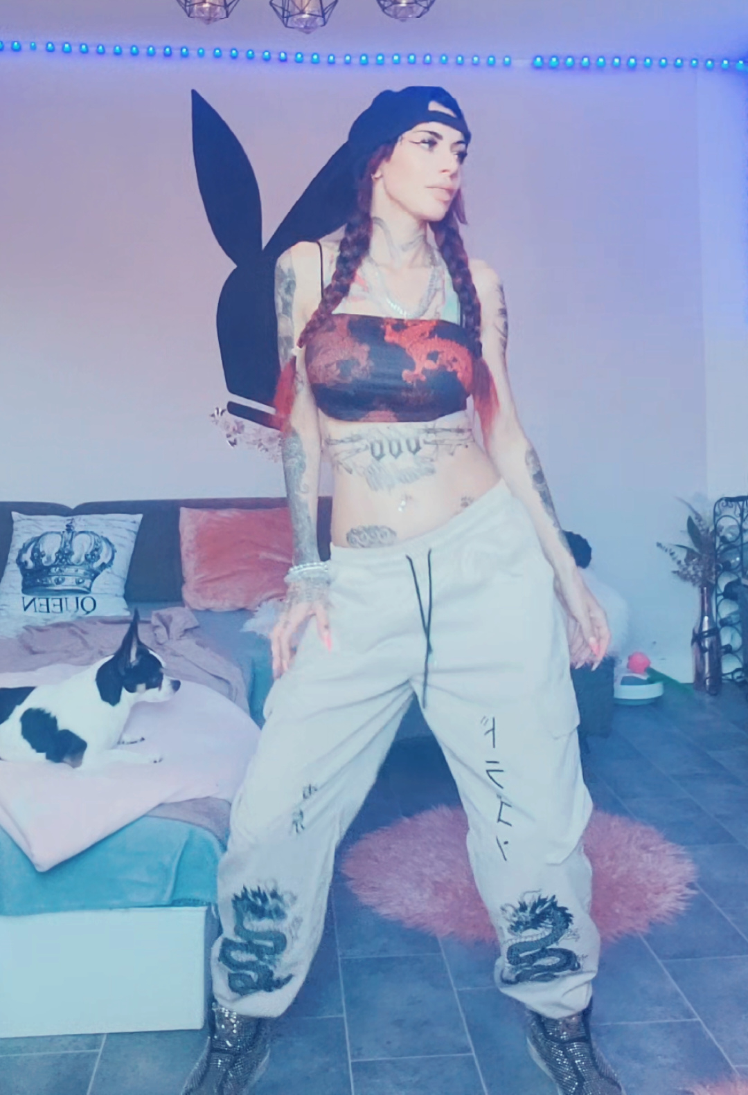 @♤🔥𝔇𝔦𝔟𝔦𝔞𝔫 ℭ𝔞𝔱 666🔥♤
