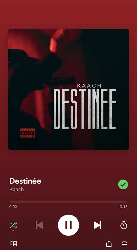 @insatiable955 👾