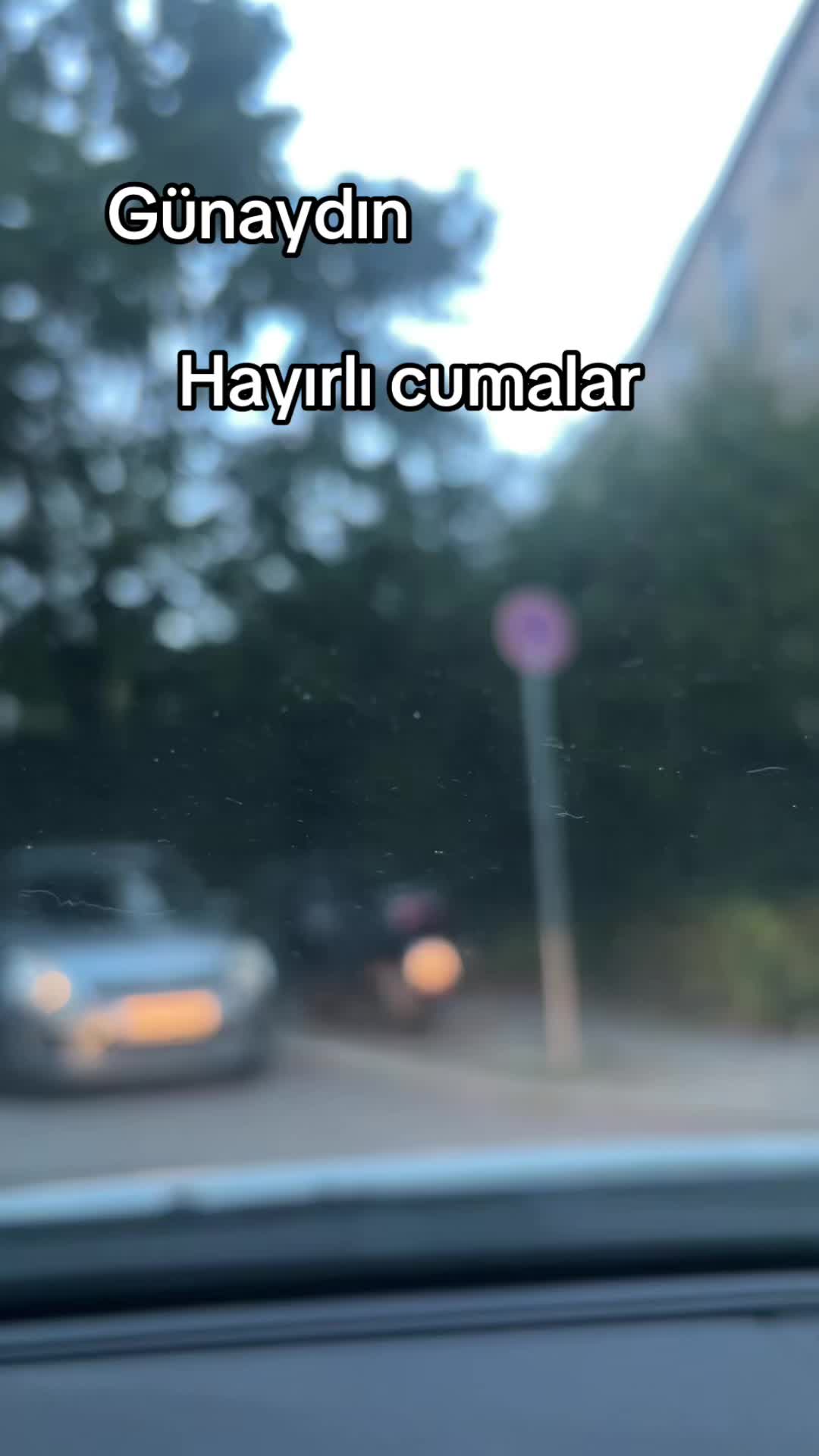 @&ldquo;AneMoN &Ccedil;i&ccedil;egi&rdquo;🌻🥀🌼🌷🌸