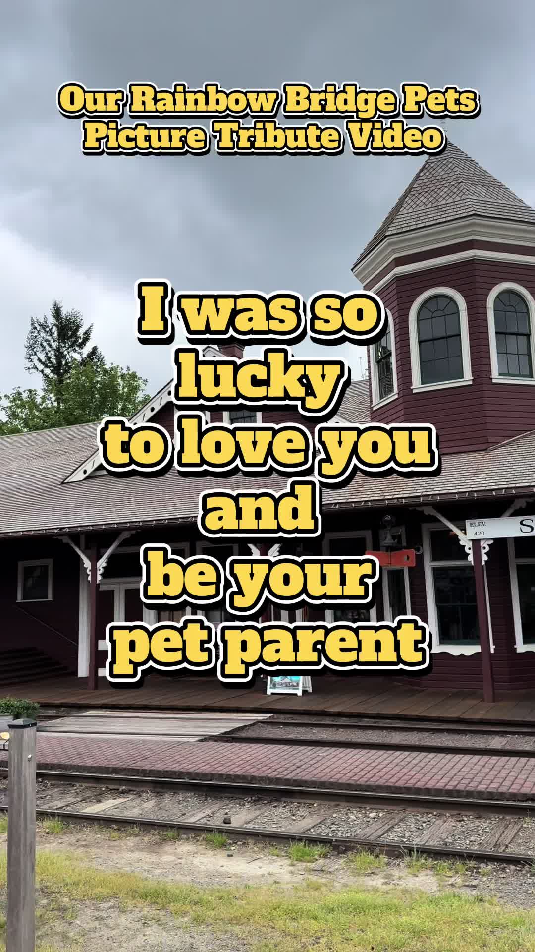 @OurRainbowBridgePets