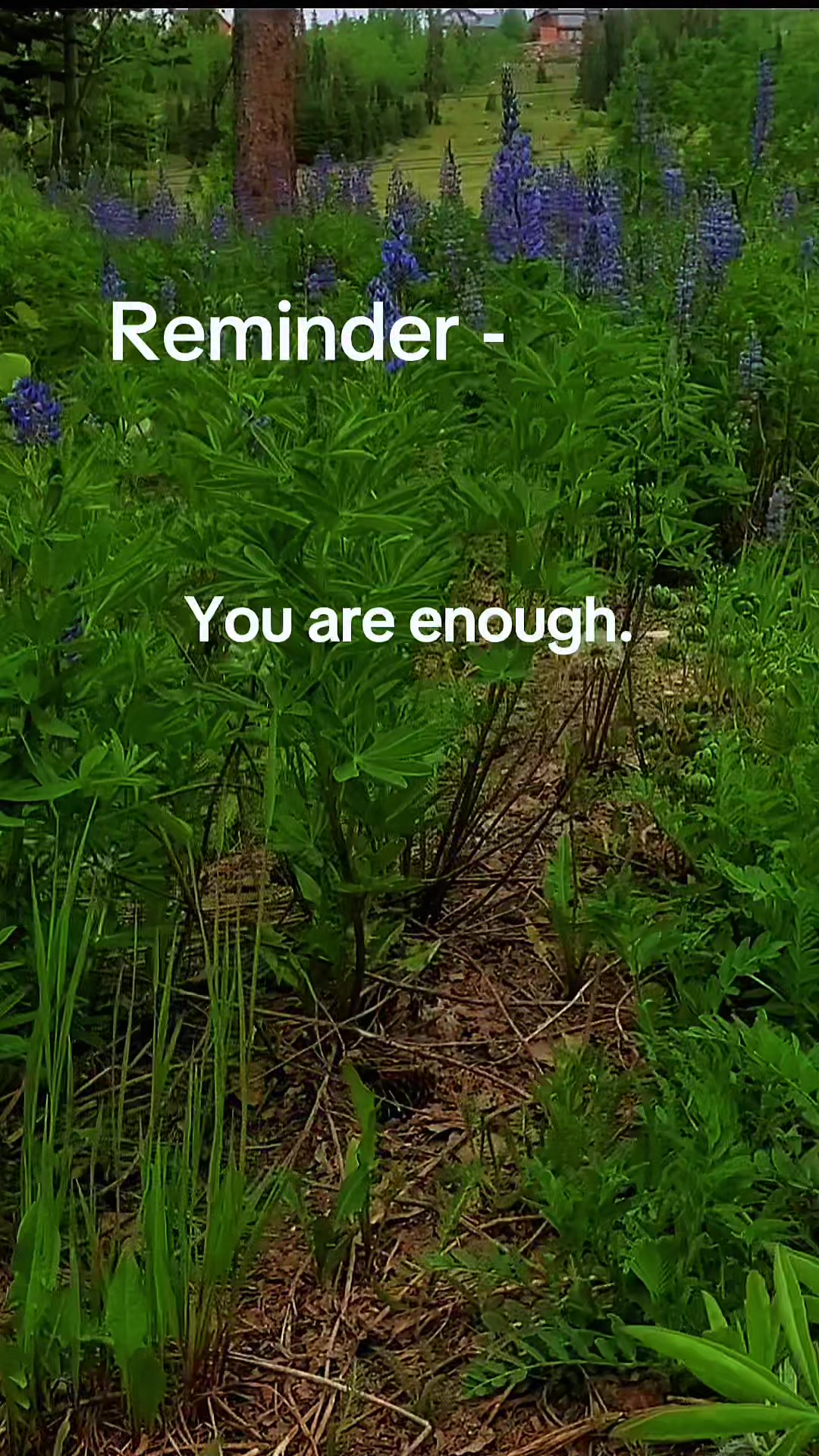 @MARY (Love, Dream & Kindness)