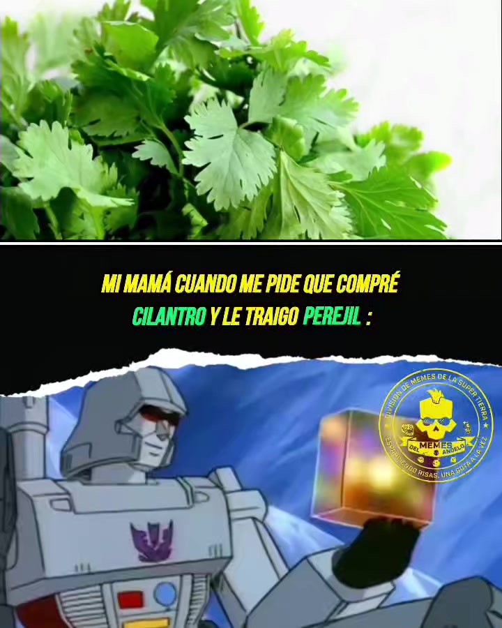 @🦖Memes_Del_Angelo🦖