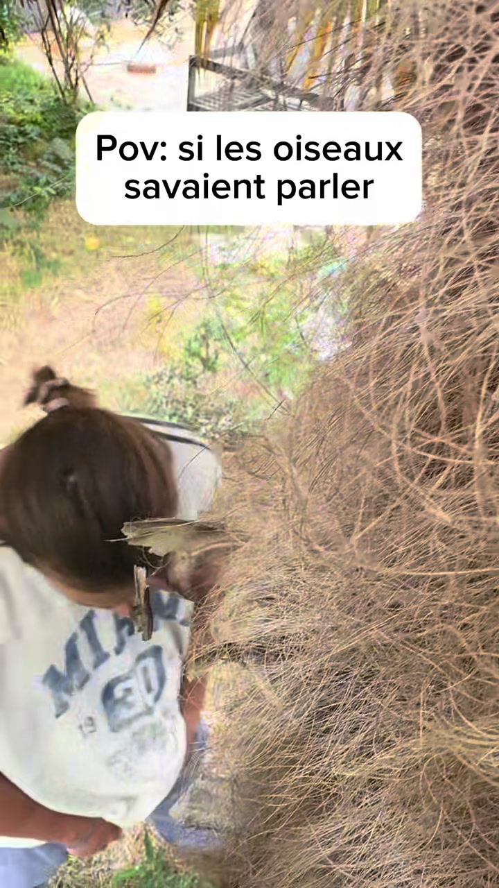 @Enzolefrere