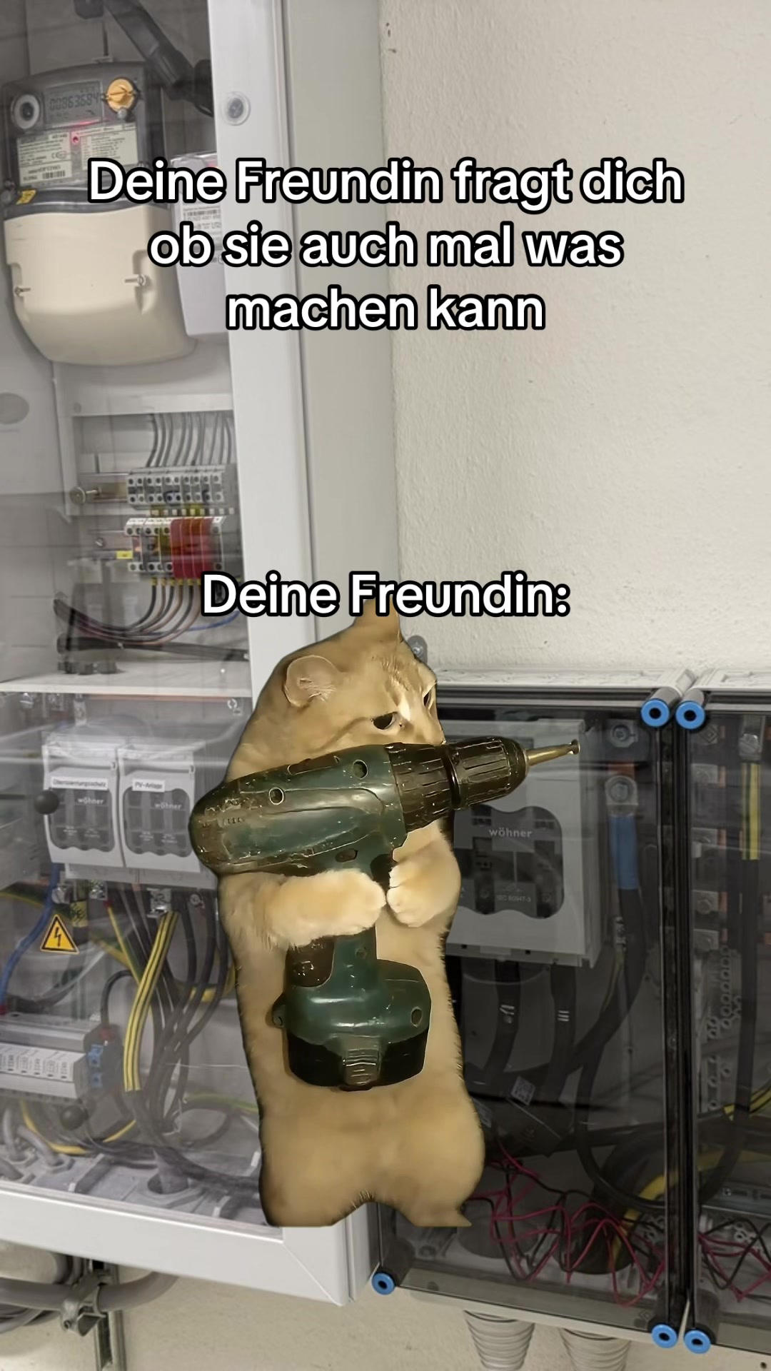 @Baron of Memes – Daily Laughs