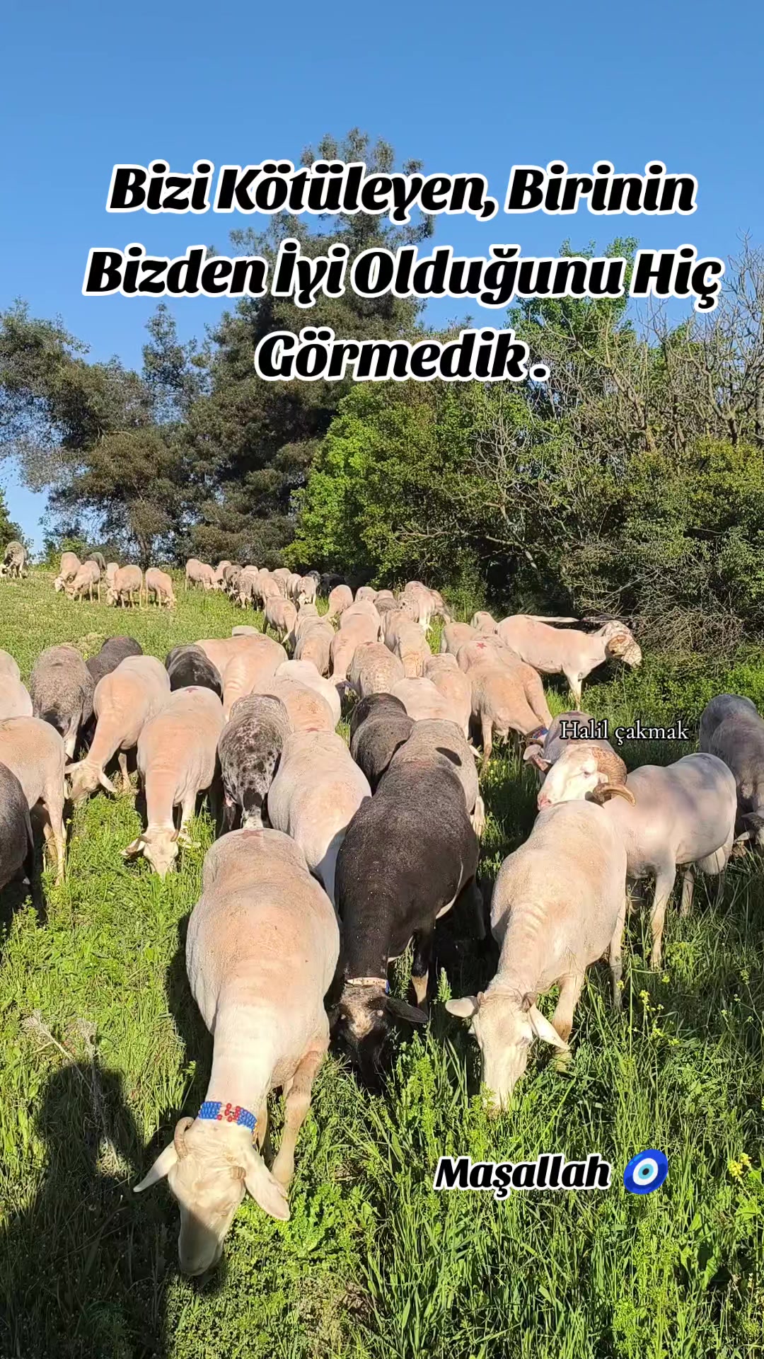 @Halil Çakmak