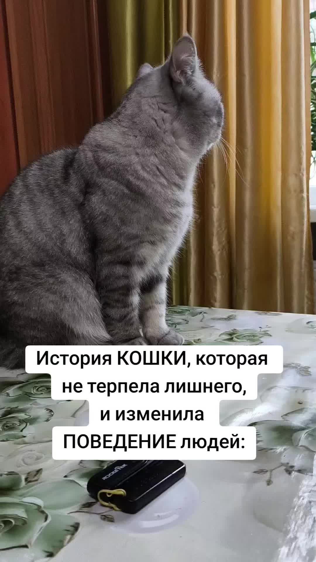 @Алёна Веста