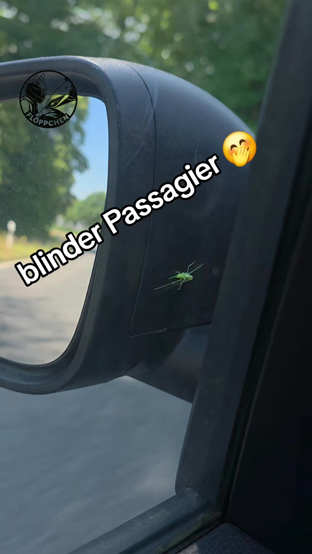 @Flöppchen
