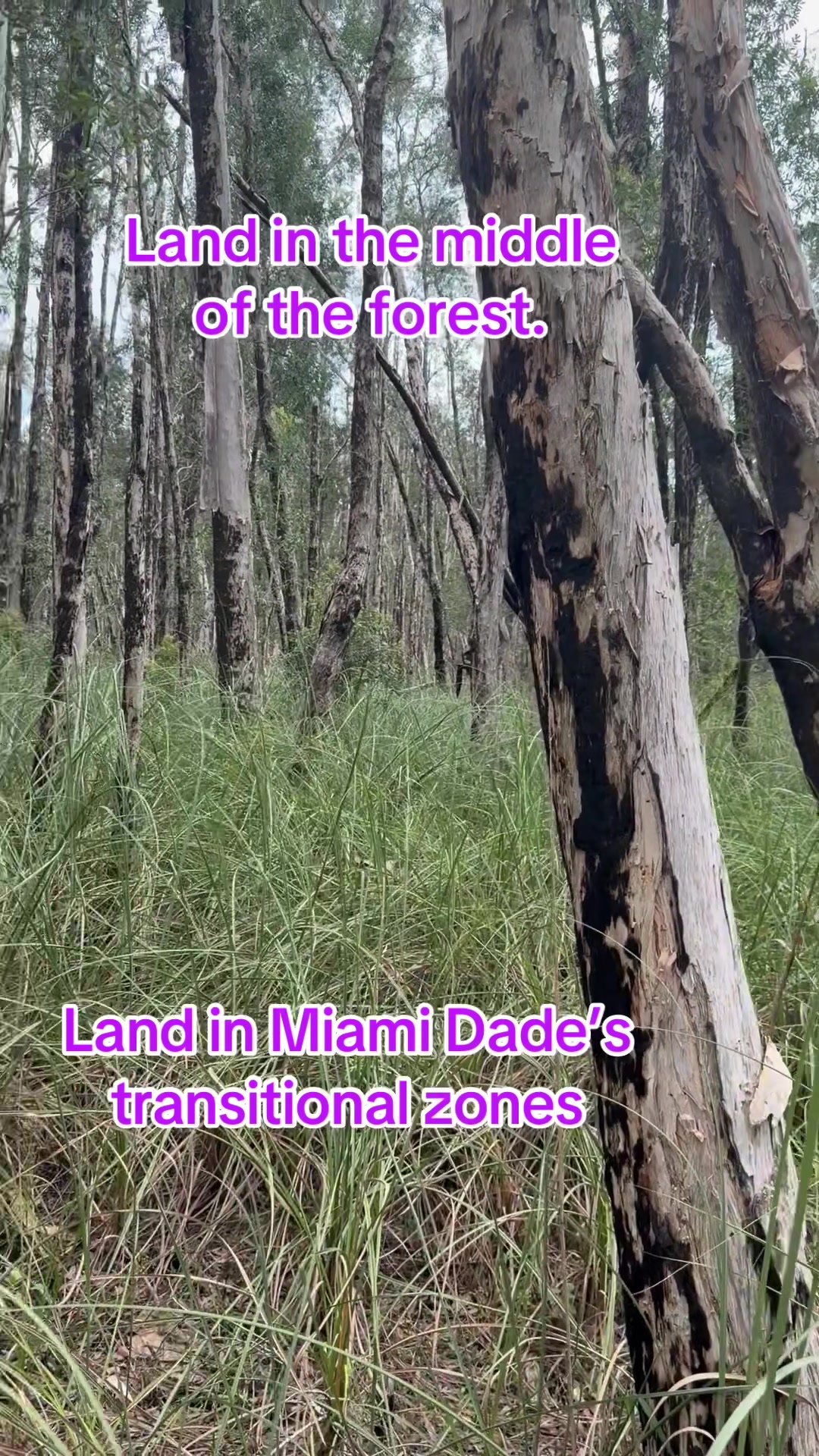 @Florida Land Guy
