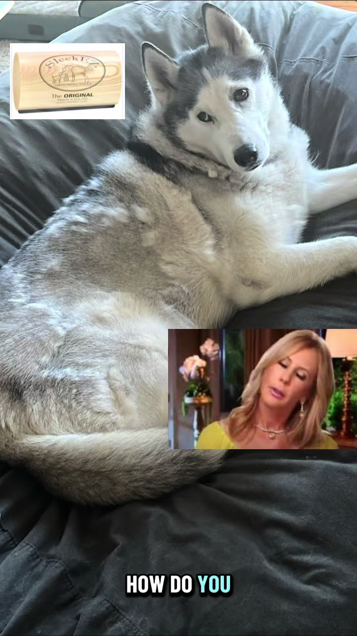 @HollywoodHubbyFaves
