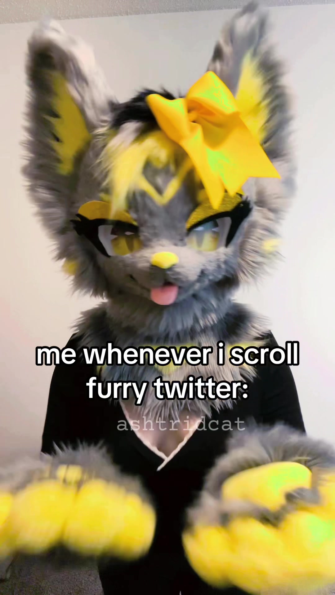 @AshtridCat