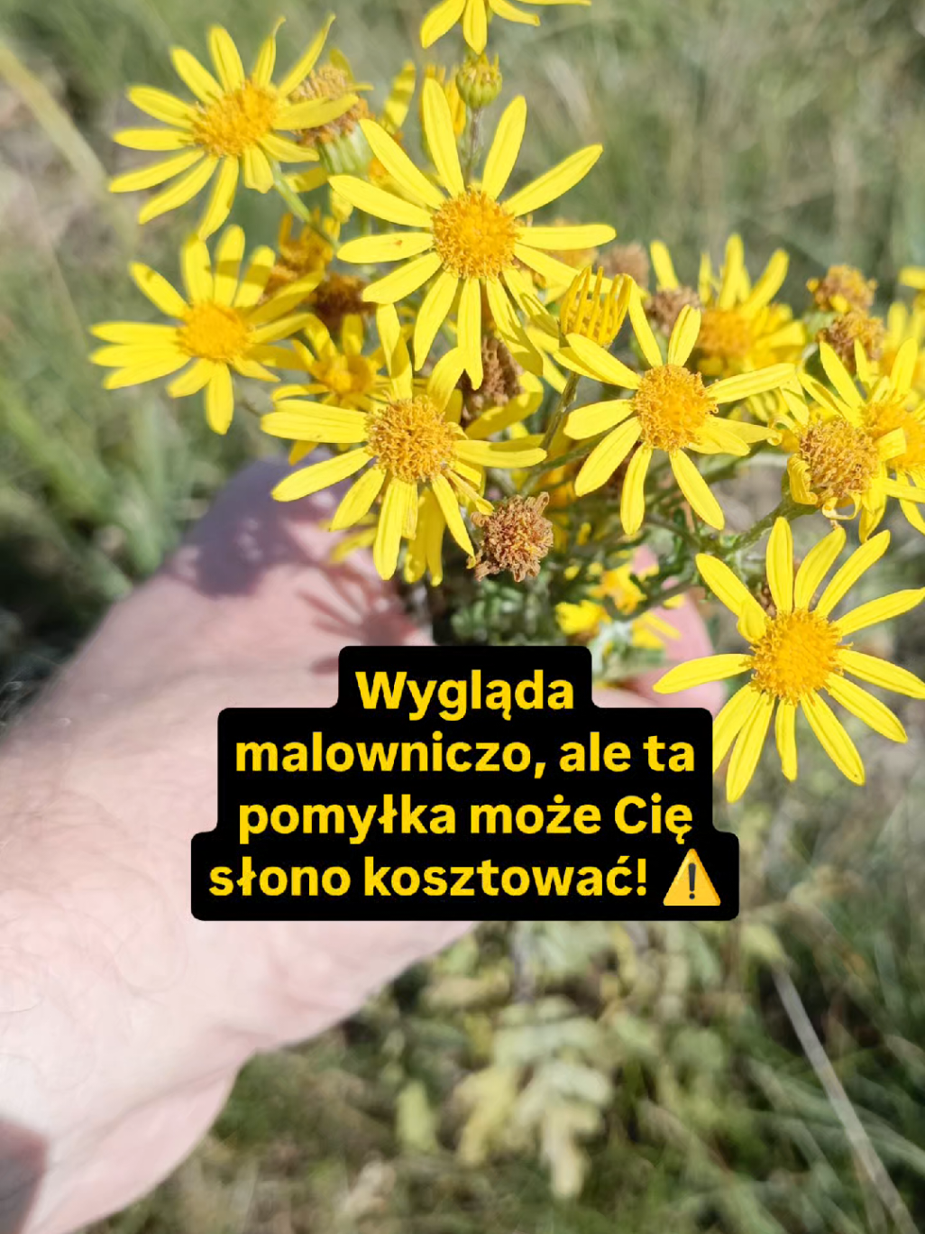 @Chwila Na Naturę🌿