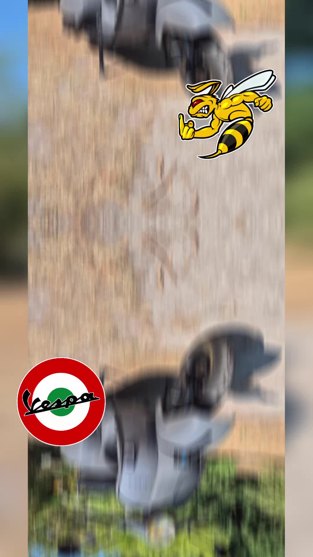 @๐ธ๐๐๐ ๐๐ ๐ฏ๐๐๐๐