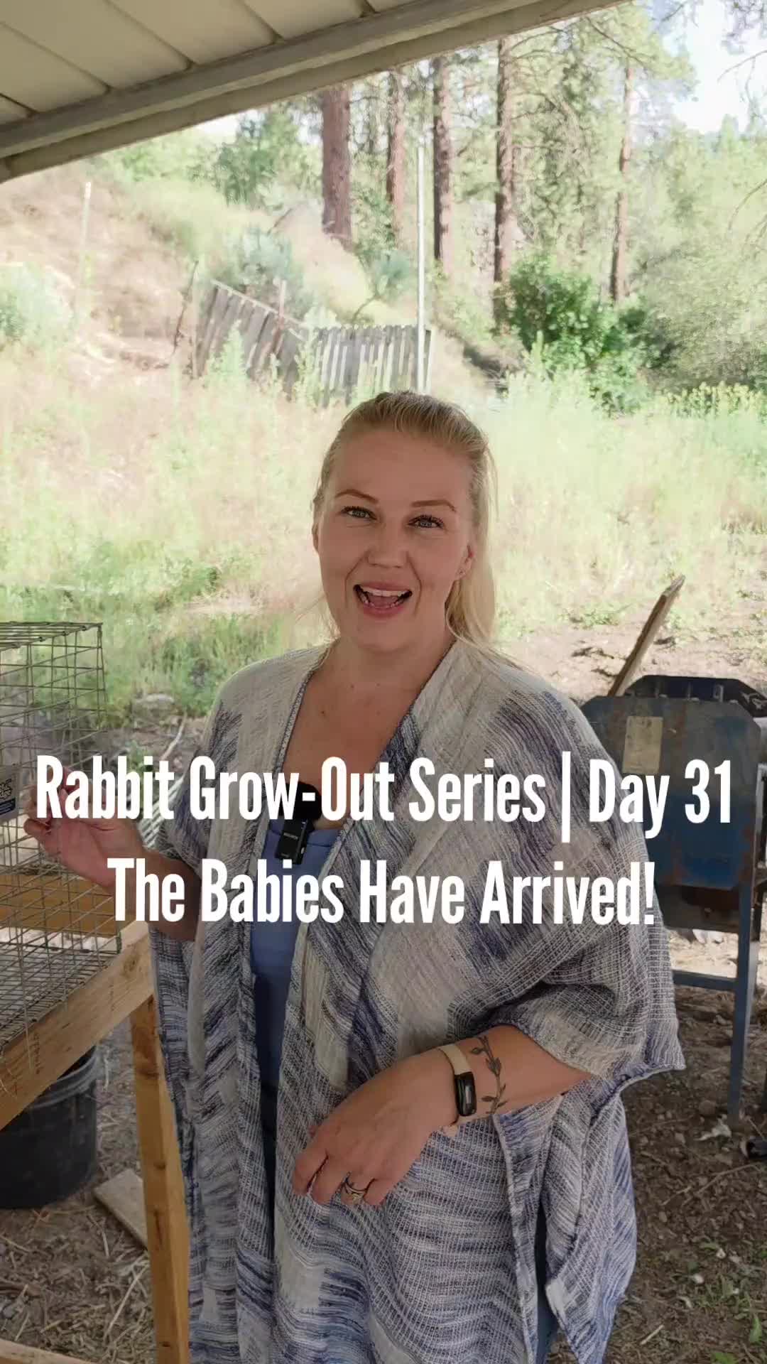 @MountainSpringHomestead