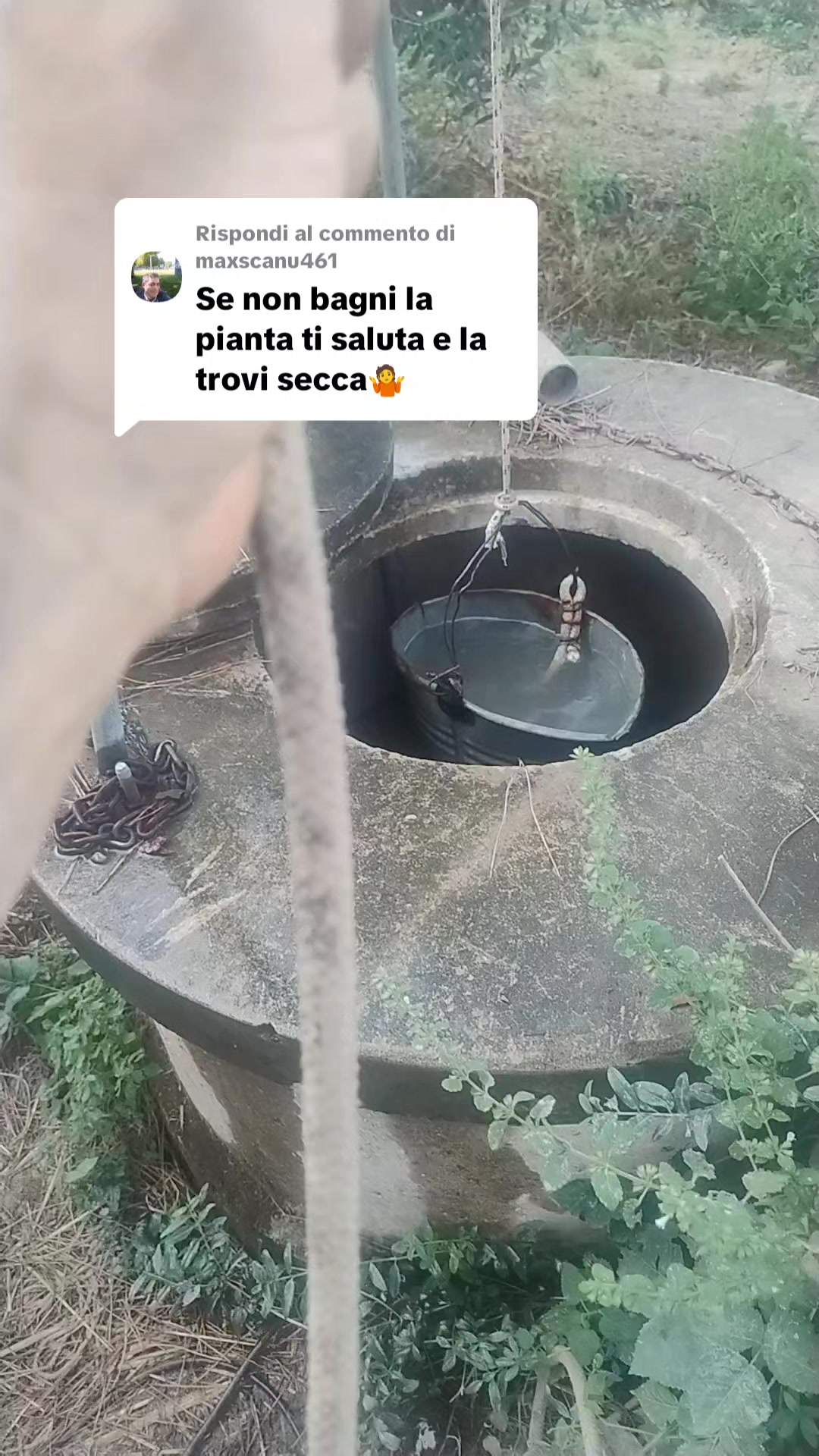 @Nell'orto di Alex ๐๐๐จ๐พ