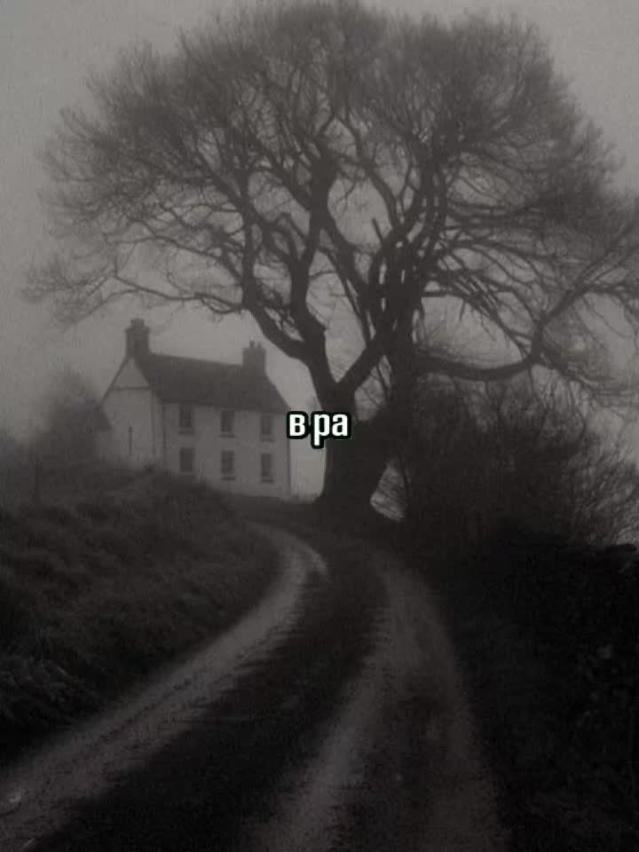 @👻𝐒𝐇𝐀𝐁𝐋𝐎𝐍👻