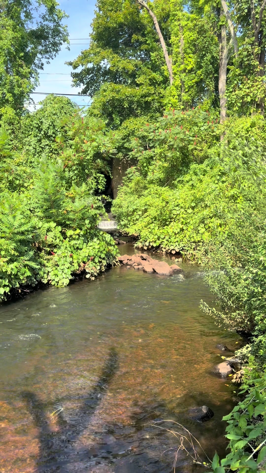 @gardengirl8440