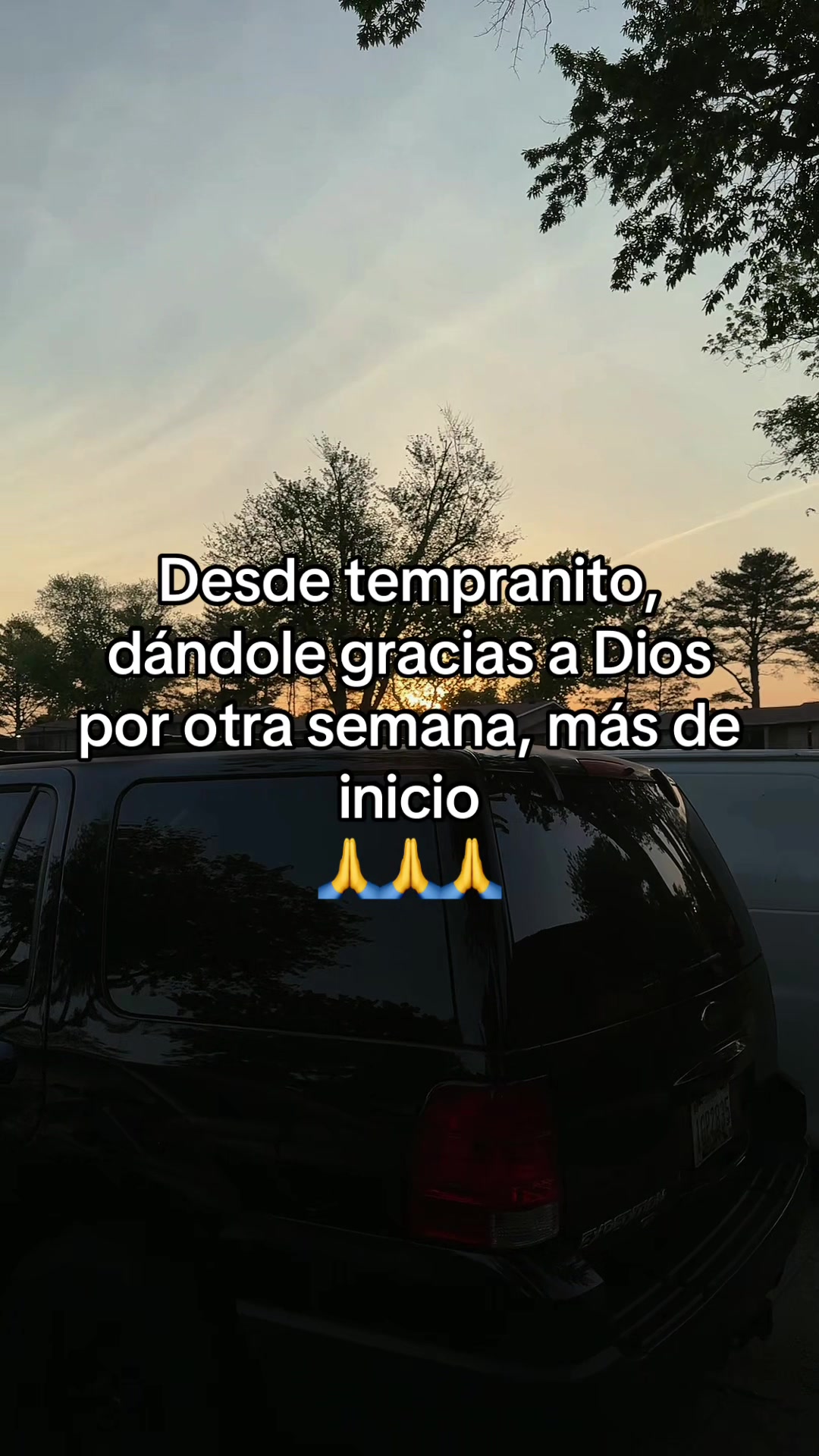 @Agusto Hernández