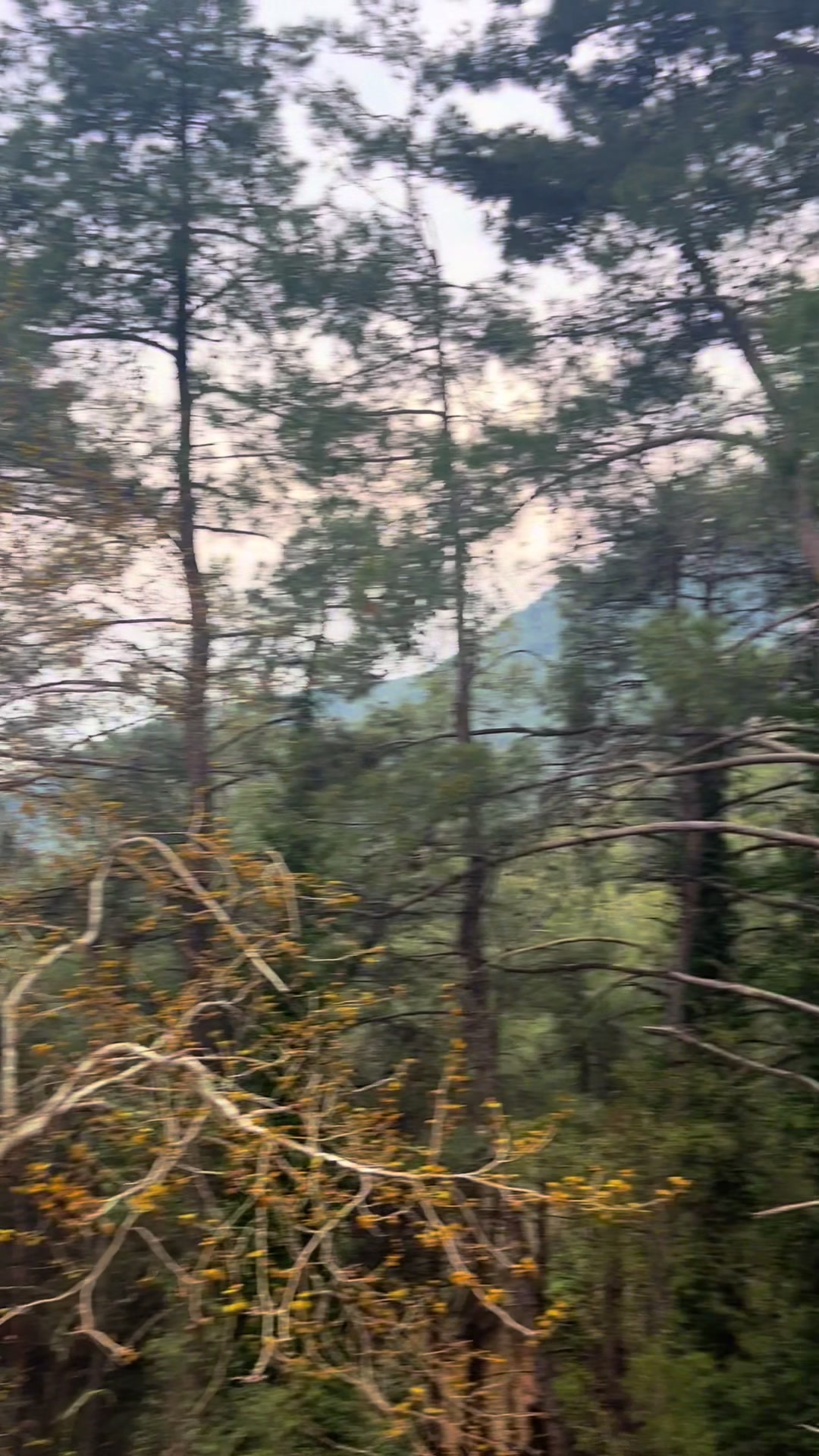 @Ebru Karadag.01