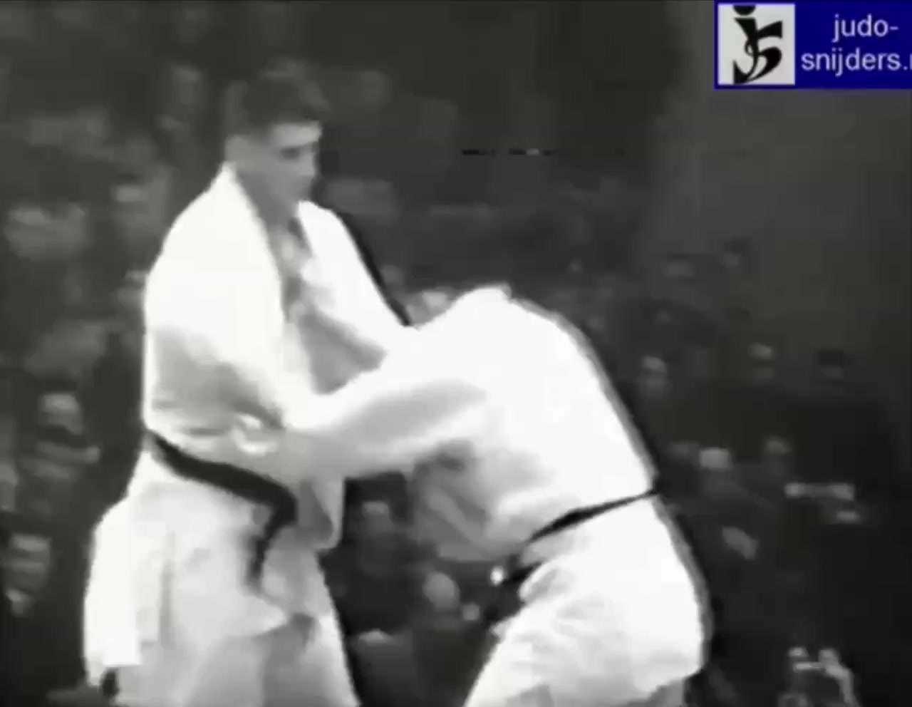 @mir_judo