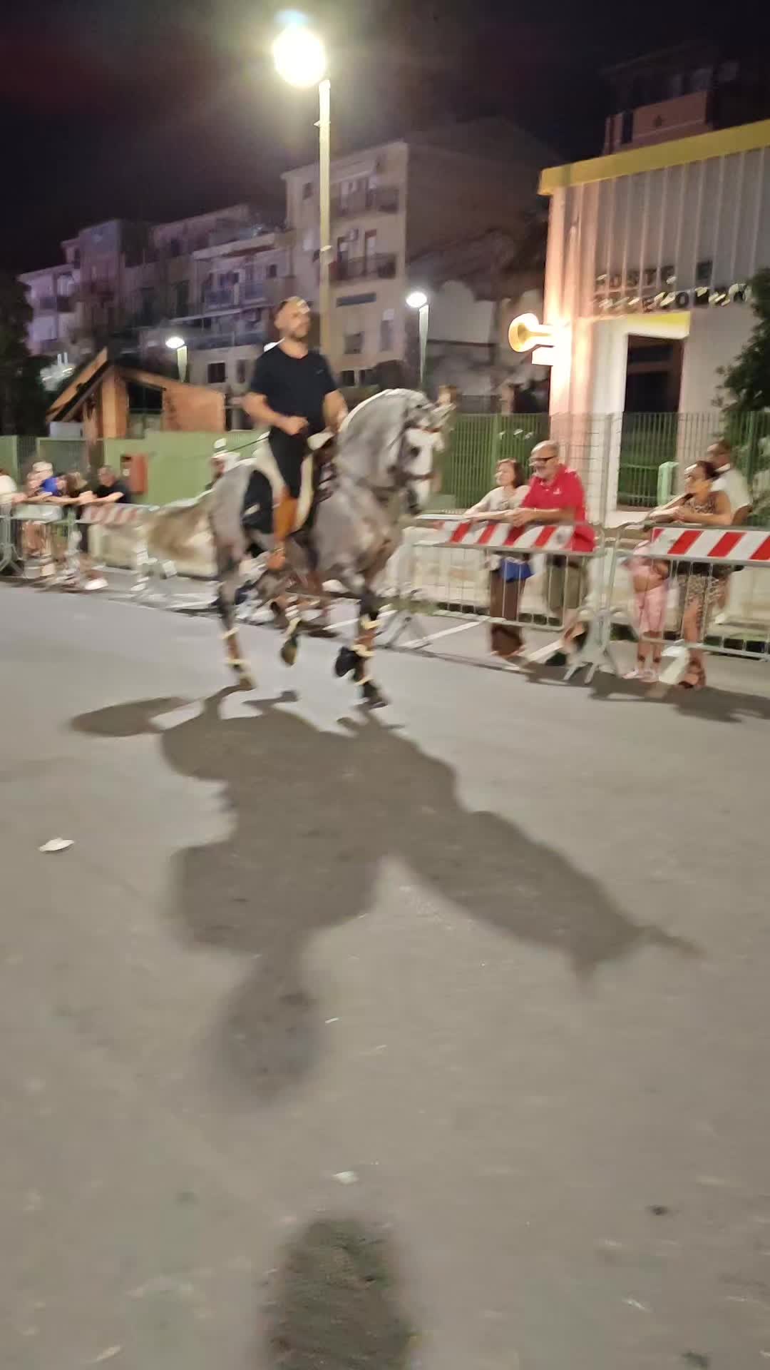 @pietrocanino