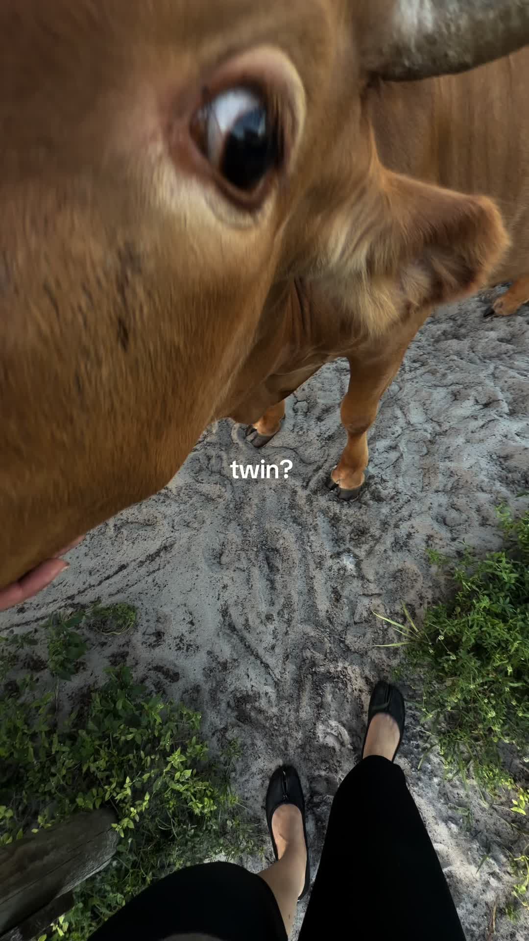 @Jamieee