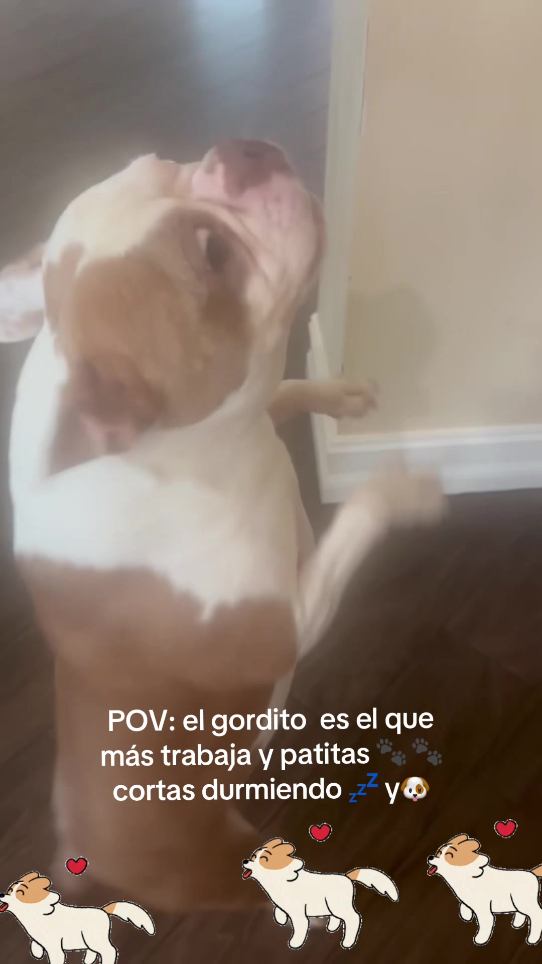 @los3huevertos