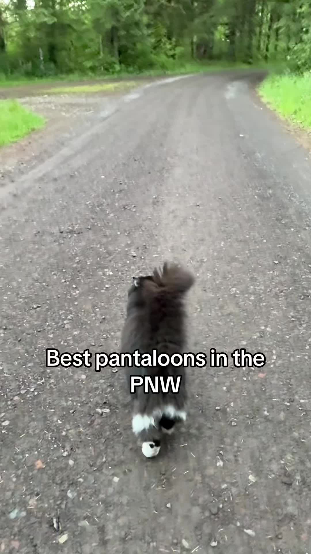 @itsbubblesinthewoods