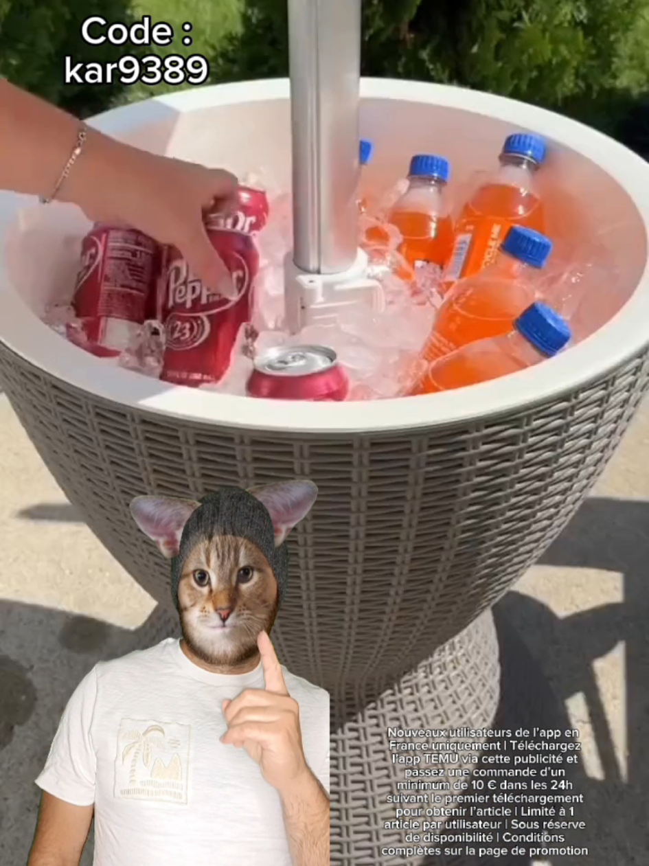 @shorts2chat 😽