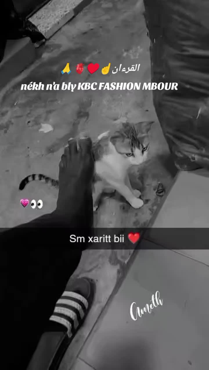 @KBC FASHION ✪