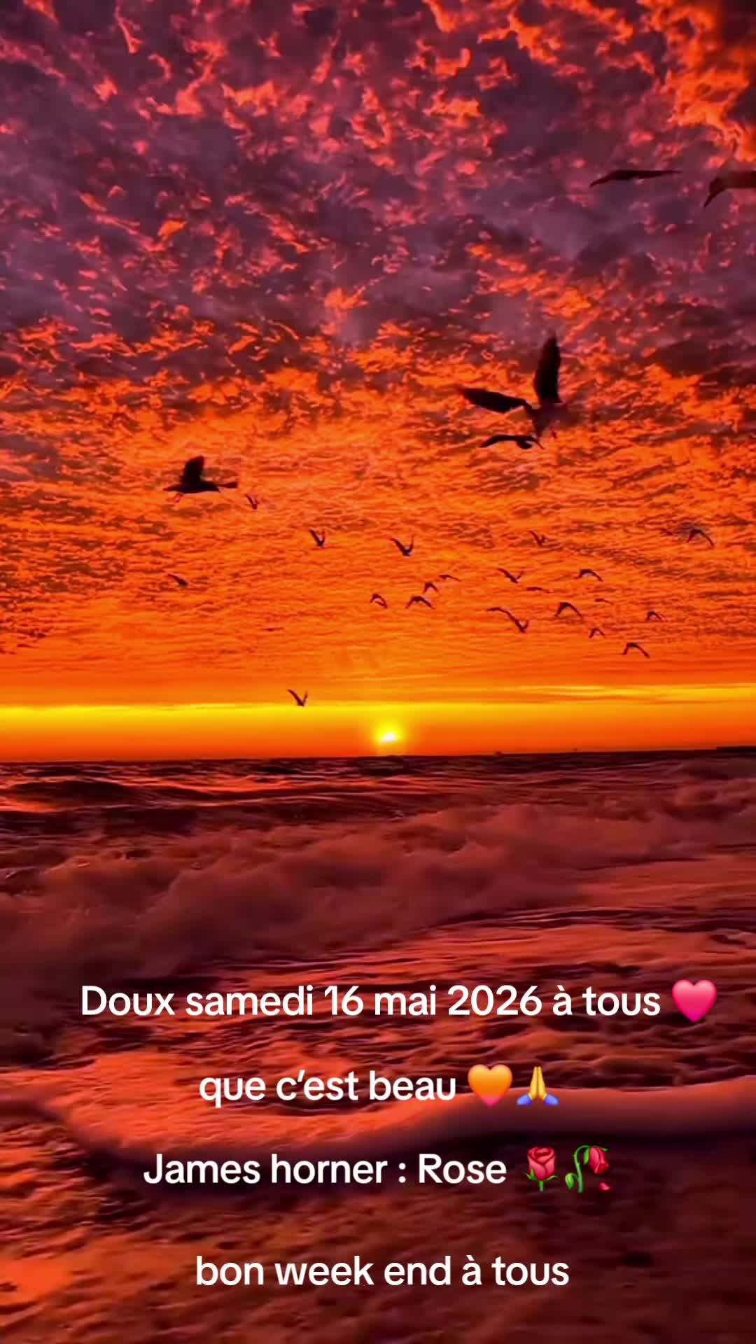 @Rose de l’espérance ❤️