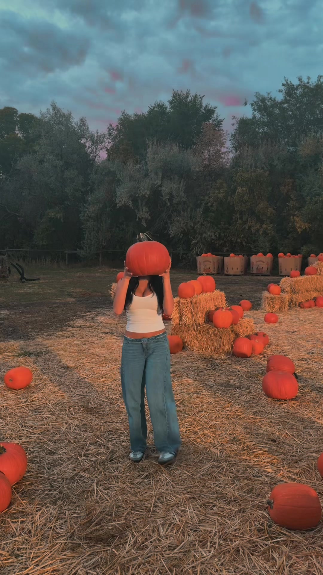 @𝚂𝚊𝚟𝚊𝚗𝚗𝚊𝚑