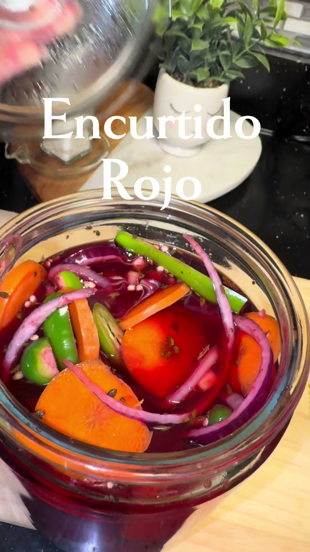 @✨️SamyRecetas👩&zwj;🍳